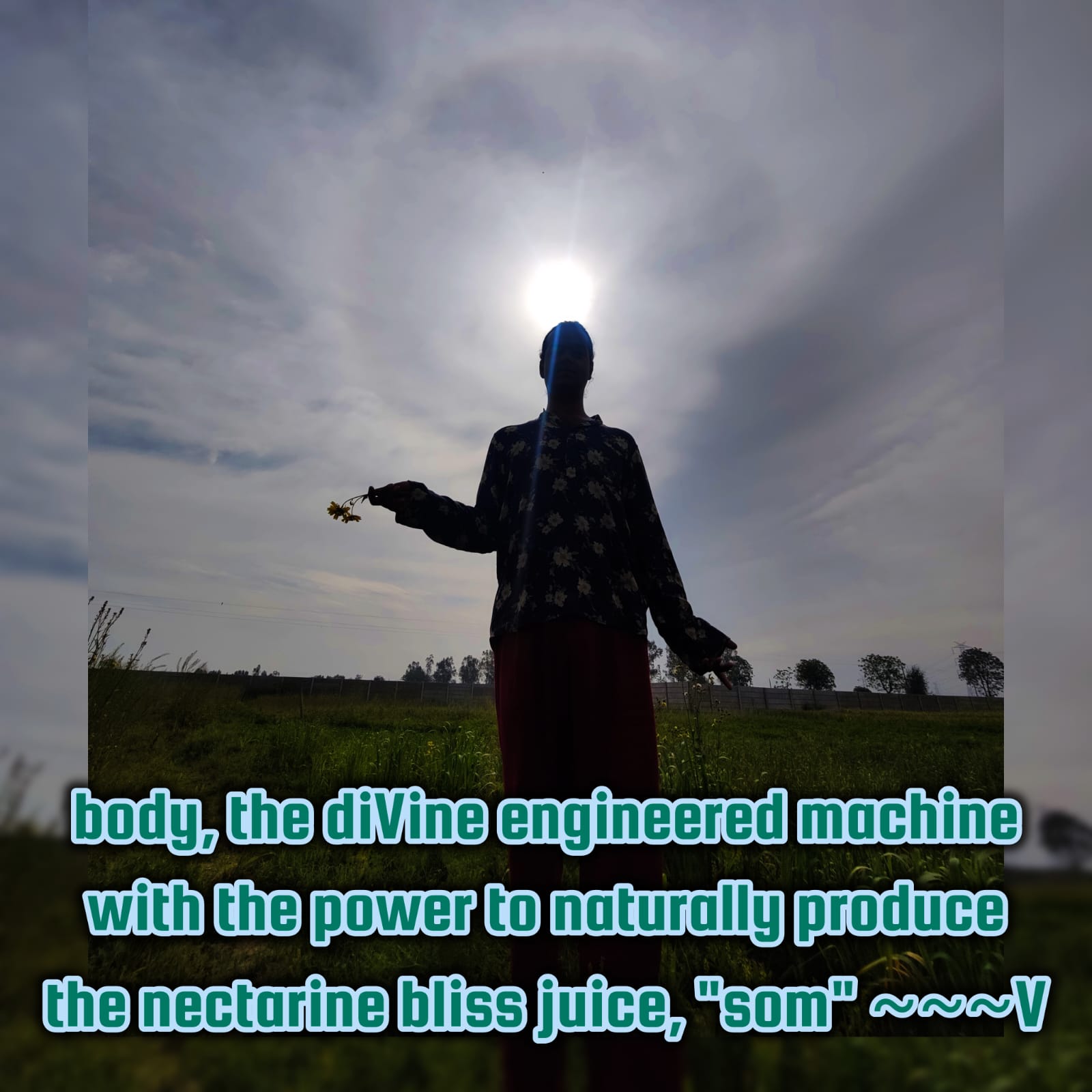 som ras: the basic secret – Vishal SriPaul