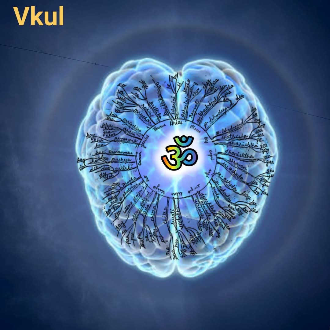 Yonic Tree The Sonic Tree – Vishal SriPaul